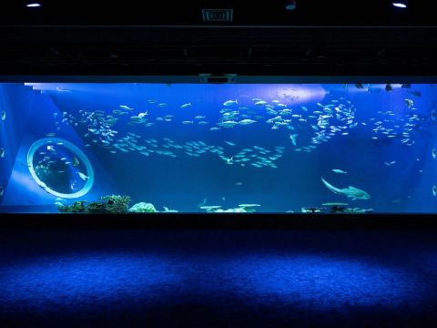 DMM Kariyushi水族館