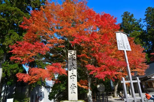 比叡山~延曆寺根本中堂
