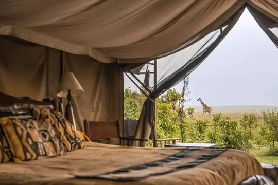 Main Governor's Camp