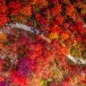 韶關3天團·《深秋秘景~黃金銀杏林+紅葉之鄉+大閘蟹》保證入住獨立別墅星空玻璃房【「蟹」逅金秋~任食秋冬大閘蟹盛宴】【福果養生老鴨湯+梅嶺鵝王宴】 韶關美景純玩3天團