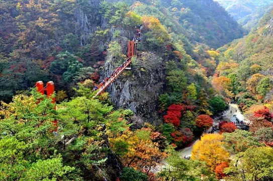大屯山道立公園