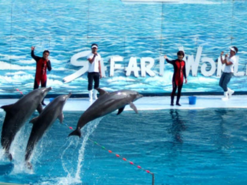 亞洲最大野生動物園 Safari World