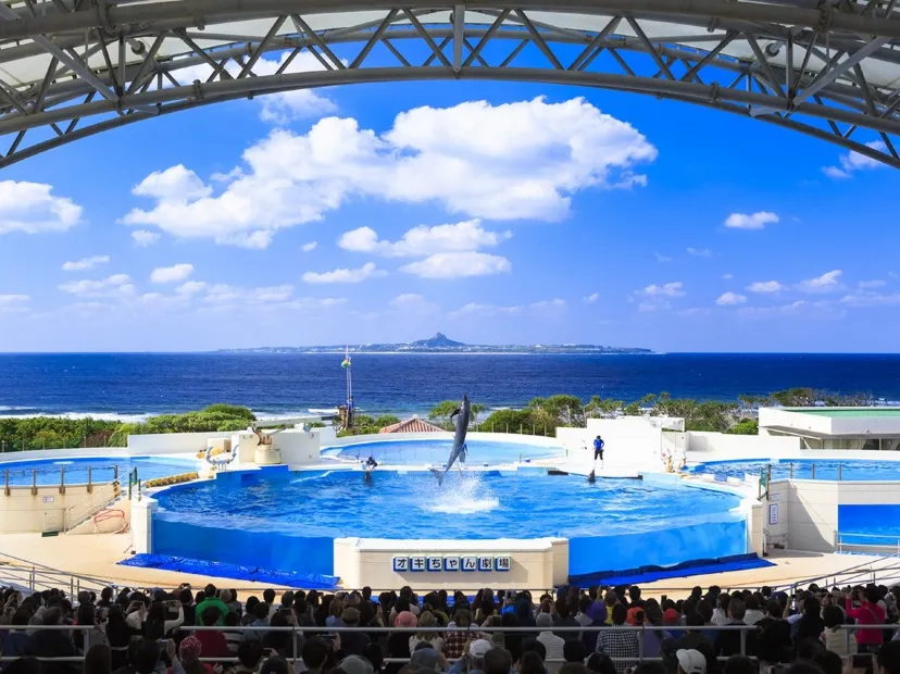 沖繩美麗海水族館~海豚表演