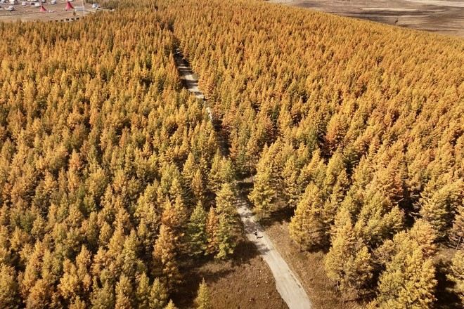 哈達門森林公園