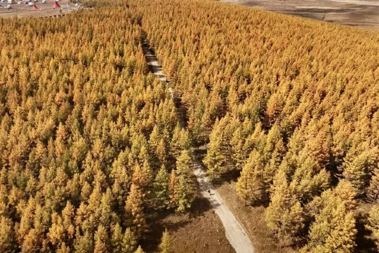 哈達門森林公園