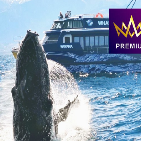 【12月18日出發】【新西蘭南北島】尋找「純淨」國度10天之旅 【優遊緻選】 -乘坐觀鯨船出海尋找鯨魚蹤跡/乘搭基督城復古電車/參觀維塔電影特效工作室/觀星之旅/薰衣草農場/瓦納卡湖的孤獨之樹