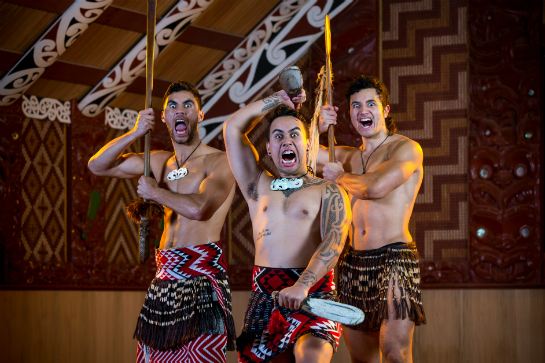 蒂普瓦毛利文化及地熱保護區享用傳統晚餐(高成本)