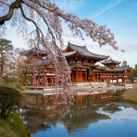 京阪神 春日花見6天寫意之旅  美山町~茅屋之里、「世界文化遺產」平等院(賞櫻及紫籐花)、嵐山風景區~渡月橋/嵐電櫻花列車、「賞櫻名所百選」紀三井寺、和歌山電鐵貓站長車站~乘特色觀光列