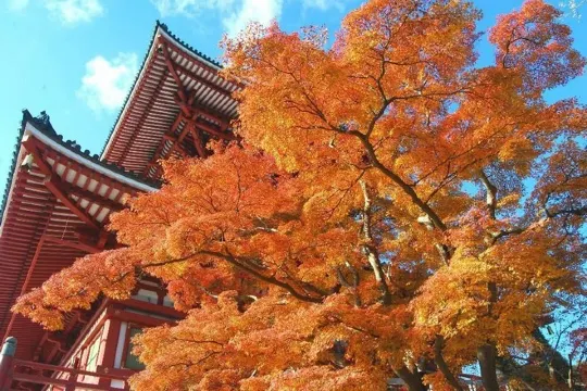 成田山新勝寺
