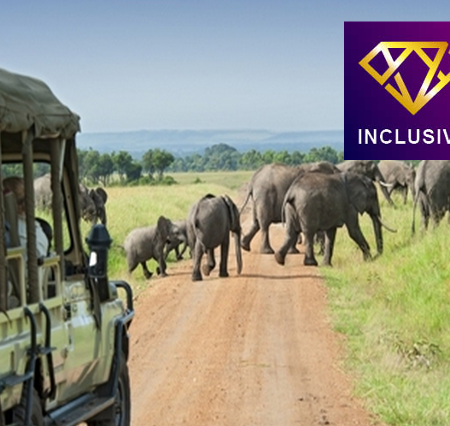 東非【4人可成行】8天原野獵奇之旅/住宿1晚特色森林酒店，置身於酒店或露台中，猶如站在樹頂上/全程乘坐7人越野開篷四驅車【優遊全包】
