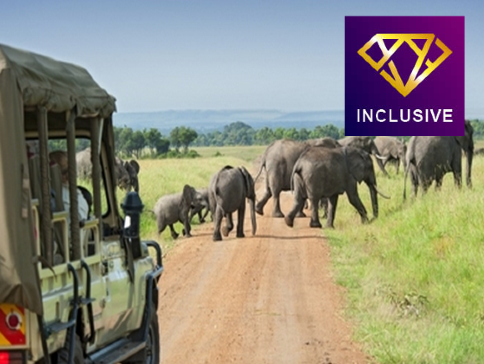 東非【4人可成行】8天原野獵奇之旅/住宿1晚特色森林酒店，置身於酒店或露台中，猶如站在樹頂上/全程乘坐7人越野開篷四驅車【優遊全包】
