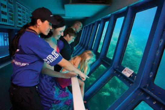 半潛艇觀賞珊瑚礁