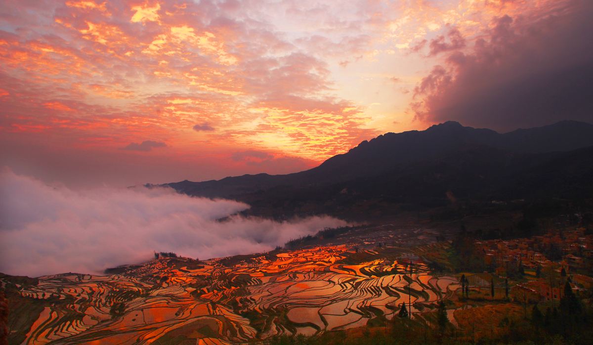多依樹梯田景區