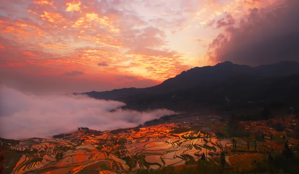多依樹梯田景區
