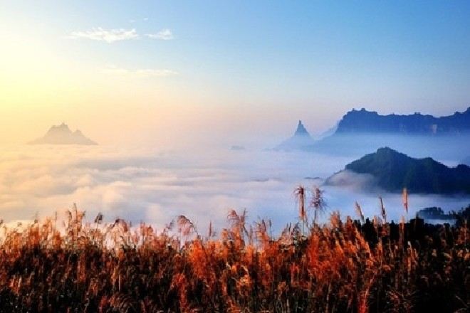 金佛山國家森林公園