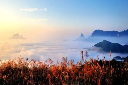 金佛山國家森林公園