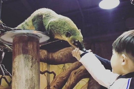 Zoolung Zoolung動物主題樂園