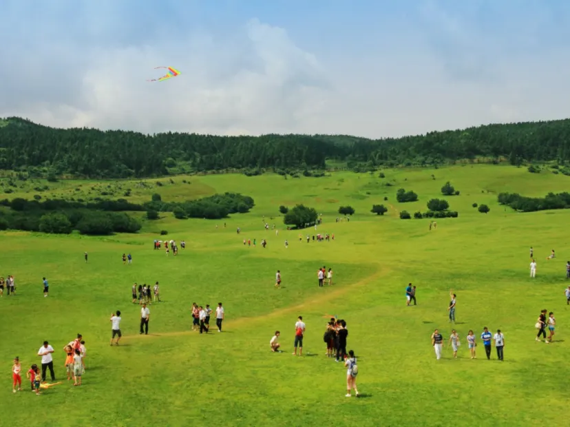 仙女山國家森林公園