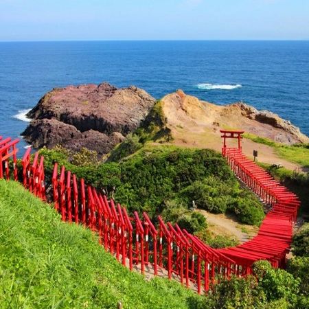 北九州、福岡 山口縣 5天溫泉之旅   元乃隅神社(123個朱紅色鳥居隧道)、日本最大鐘乳洞之一秋芳洞/秋吉台の草紅葉、御船山樂園紅葉祭
