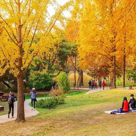 《周年尊享禮遇》仁川+首爾5天遊玩之旅 ※始興河溝生態公園、日月樹木園、仁川大公園、南山公園、西大門弘濟瀑布、星空圖書館、樂天PremiumOutletTimeVillas夢幻玻璃屋、傳統汗蒸幕體驗