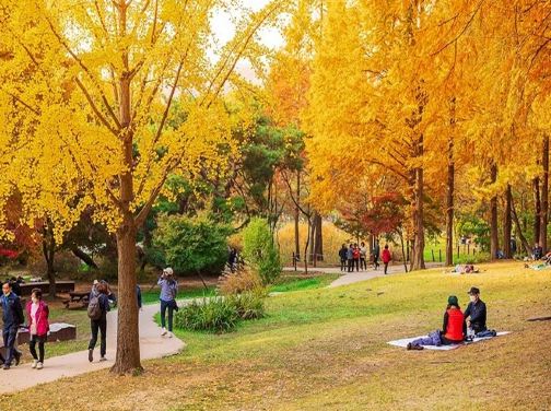 《周年尊享禮遇》仁川+首爾5天遊玩之旅 ※始興河溝生態公園、日月樹木園、仁川大公園、南山公園、西大門弘濟瀑布、星空圖書館、樂天PremiumOutletTimeVillas夢幻玻璃屋、傳統汗蒸幕體驗 《周年尊享禮遇》仁川+首爾5天遊玩之旅 ※始興河溝生態公園、日月樹木園、仁川大公園、南山公園、西大門弘濟瀑布、星空圖書館、樂天PremiumOutletTimeVillas夢幻玻璃屋、傳統汗蒸幕體驗