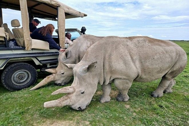 奧佩傑塔保護區