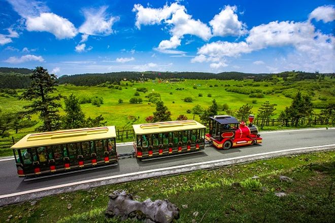 仙女山國家森林公園