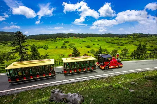 仙女山國家森林公園