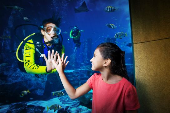 Lost Chambers海底世界