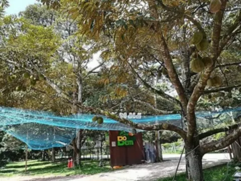 馬六甲果園Eco Do Bem Farm