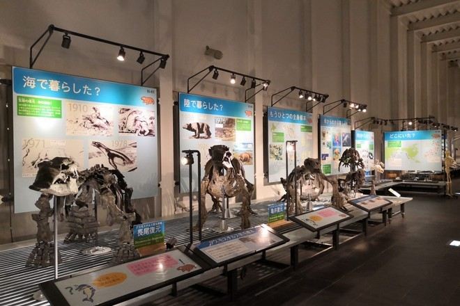 足寄動物化石博物館
