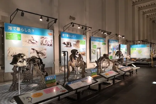 足寄動物化石博物館
