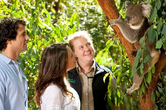 野生動物保護區