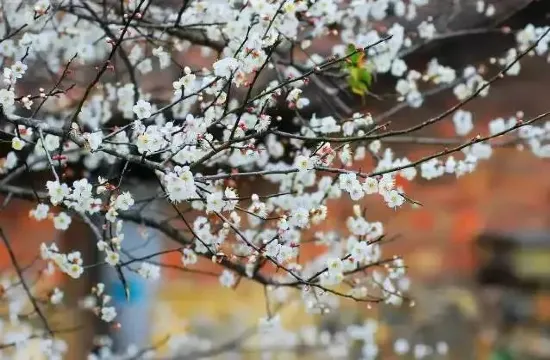 流溪河國家森林公園