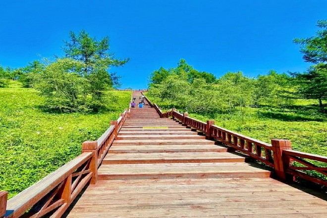 莫爾道嘎國家森林公園