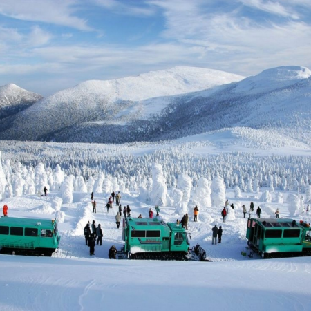 東北、東京 冬日秘景7天溫泉之旅 山形絕景~藏王樹冰奇景(包乘雪怪車)、八甲田樹冰 (包乘纜車)/「日本百大名城」弘前城+睡魔燈籠村、日光東照宮、「日本第一美溪」嚴美溪、「米芝蓮2星級」奧入瀨溪流