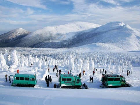 東北、東京 冬日秘景7天溫泉之旅 山形絕景~藏王樹冰奇景(包乘雪怪車)、八甲田樹冰 (包乘纜車)/「日本百大名城」弘前城+睡魔燈籠村、日光東照宮、「日本第一美溪」嚴美溪、「米芝蓮2星級」奧入瀨溪流