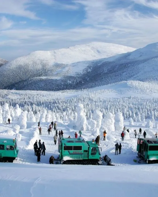 東北、東京 冬日秘景7天溫泉之旅 山形絕景~藏王樹冰奇景(包乘雪怪車)、八甲田樹冰 (包乘纜車)/「日本百大名城」弘前城+睡魔燈籠村、日光東照宮、「日本第一美溪」嚴美溪、「米芝蓮2星級」奧入瀨溪流
