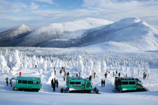 東北、東京 冬日秘景7天溫泉之旅 山形絕景~藏王樹冰奇景(包乘雪怪車)、八甲田樹冰 (包乘纜車)/「日本百大名城」弘前城+睡魔燈籠村、日光東照宮、「日本第一美溪」嚴美溪、「米芝蓮2星級」奧入瀨溪流
