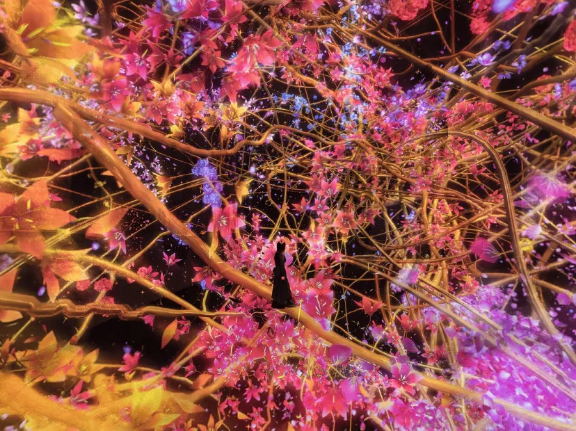 TeamLab Biovortex Kyoto 