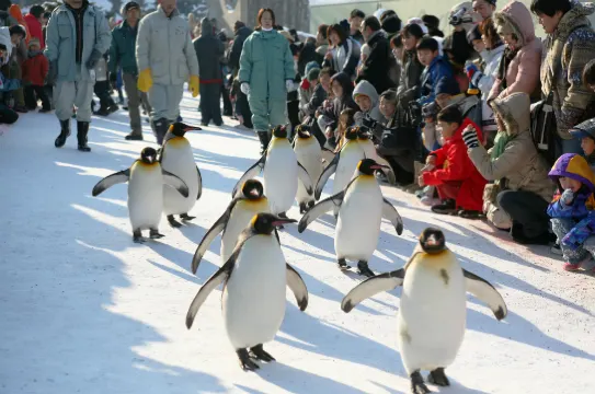 旭山動物園