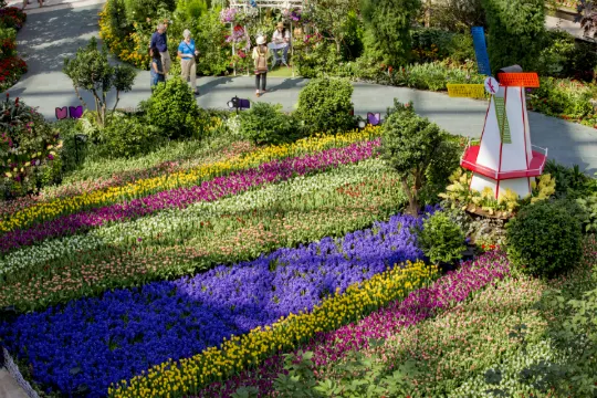 GardensByTheBay濱海灣花園