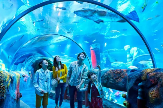 SEA LIFE 海洋探索中心