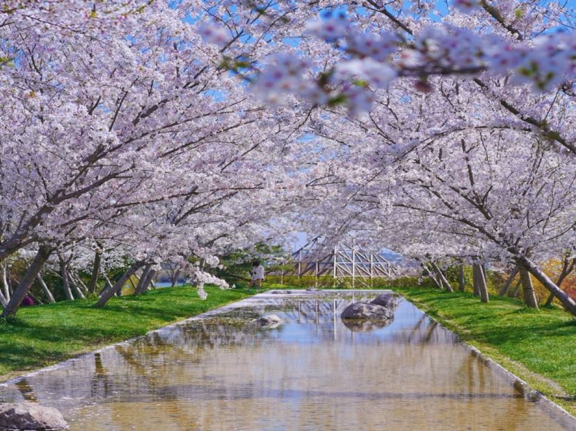 淺山森林美術公園