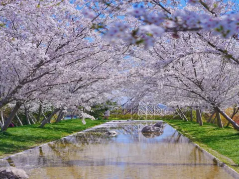 淺山森林美術公園