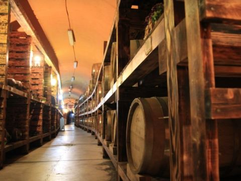 坡州山葡萄農園