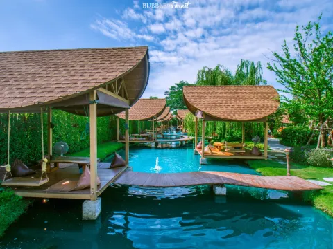 Bubble in the Forest