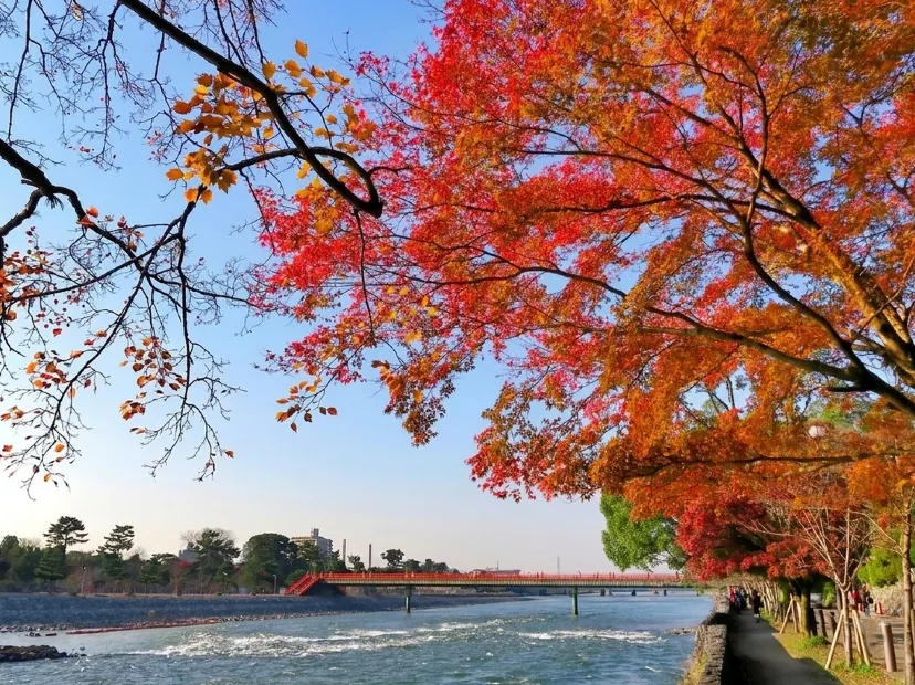 宇治風景區_秋