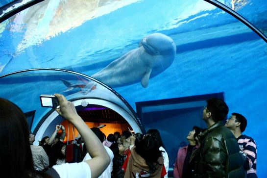 國立海洋生物博物館