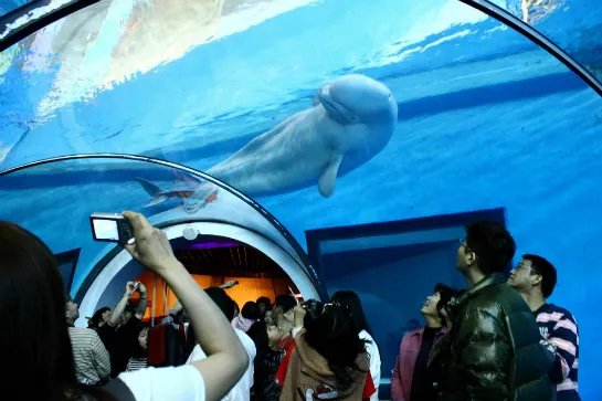 國立海洋生物博物館